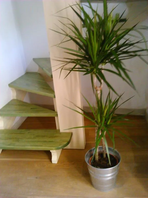 Domus Ausucium Apartment Ossuccio