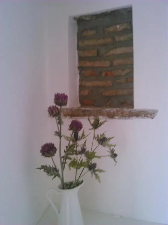 Domus Ausucium Apartment Ossuccio Italy